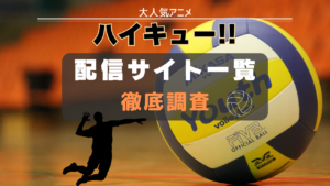 ハイキュー 配信 一覧