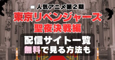 アニメ 東京リベンジャーズ　2期　聖夜決戦編　動画配信サービス一覧　VOD　U-NEXT　ユーネクスト