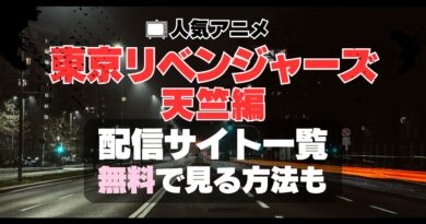 東京リベンジャーズ　3期　天竺編　動画配信サービス一覧　VOD　U-NEXT　ユーネクスト