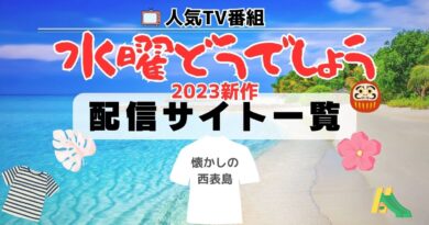 水曜どうでしょう 2023 最新作 懐かしの西表島 動画配信サイト一覧