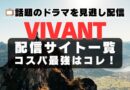 ヴィヴァン ビバン VIVANT　ドラマ　TV　テレビ　TBS　配信サービス　一覧　キャスト　見逃し　ユーネクスト　U-NEXT