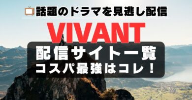 ヴィヴァン ビバン VIVANT　ドラマ　TV　テレビ　TBS　配信サービス　一覧　キャスト　見逃し　ユーネクスト　U-NEXT