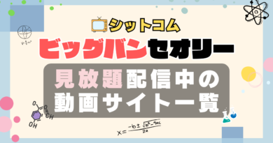 海外ドラマ　シットコム　ビッグバン・セオリー　ビッグバンセオリー　シチュエーション・コメディ　VOD　動画配信サービス　動画サイト　オススメ　どこで見れる？　配信サイト　サブスク　アマプラ　ネトフリ　フールー　ユーネクスト u-next unext hulu primevideo