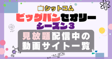 ビッグバンセオリー シーズン3 VOD 動画配信サービス 一覧 どこで見れる