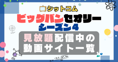 ビッグバンセオリー シーズン4 VOD 動画配信サービス 一覧 どこで見れる