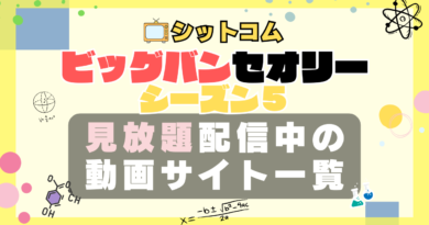 ビッグバンセオリー シーズン5 VOD 動画配信サービス 一覧 どこで見れる