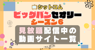 ビッグバンセオリー シーズン6 VOD 動画配信サービス 一覧 どこで見れる