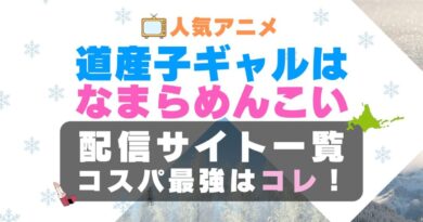 道産子ギャルはなまらめんこい　どさこい　ラブコメ　VOD　比較　一覧　特徴　動画配信サービス　サブスク　無料　おすすめ　フールー　ユーネクスト　アマプラ　DMM　無料