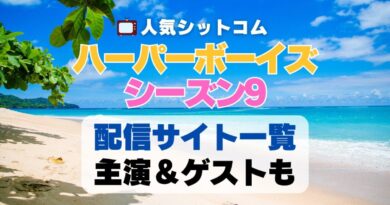 ハーパーボーイズ Two and a half Men　シーズン9 第9期　海外ドラマ　シットコム　シチュエーション・コメディ　人気　オススメ　VOD　配信　どこで見れる　一覧　比較　無料　スカパー　WOWOW スーパードラマTV　動画　サブスク　サイト　サービス　見れない　アマプラ　ネトフリ　u-next unext ユーネクスト　フールー　hulu 独占　見放題