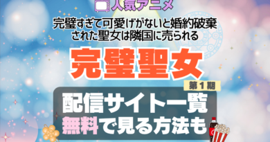完璧聖女　完璧すぎて可愛げがないと婚約破棄された聖女は隣国に売られる アニメ　無料　配信サービス　動画サブスク　VOD　動画配信サイト　どこで見れる？　動画配信サービス　ユーネクスト U-NEXT DMM TV アマプラ　ネトフリ　ABEMA　Hulu　Lemino　dアニメ　おすすめ　コスパ　お得　人気　比較　一覧　まとめ