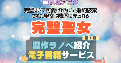 完璧聖女　完璧すぎて可愛げがないと婚約破棄された聖女は隣国に売られる アニメ　原作小説　なろう系　小説家になろう　ラノベ　ライトノベル　本　電子書籍　無料　お得　キャンペーン　割引　クーポン