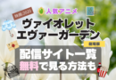 ヴァイオレット・エヴァーガーデン 劇場版　映画　2020　アニメ　無料　配信サービス　動画サブスク　VOD　動画配信サイト　どこで見れる？　動画配信サービス　ユーネクスト U-NEXT DMM TV アマプラ　ネトフリ　ABEMA　Hulu　Lemino　dアニメ　おすすめ　コスパ　お得　人気　比較　一覧　まとめ　独占　見れない　ネットフリックス　Netflix　ネトフリ