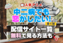 中二病でも恋がしたい！　中二恋　中恋　 第１期　シーズン１　TV　アニメ　テレビ　無印　無料　配信サービス　動画サブスク　VOD　動画配信サイト　どこで見れる？　動画配信サービス　ユーネクスト U-NEXT DMM TV アマプラ　ネトフリ　ABEMA　Hulu　Lemino　dアニメ　おすすめ　コスパ　お得　人気　比較　一覧　まとめ　独占　見れない　ネットフリックス　Netflix　ネトフリ　見れない　見る