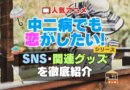 中二病でも恋がしたい！　中二恋　中恋　SNS　動画　公式　YouTube　ユーチューブ　Twitter　ツイッター　X　エックス　アカウント　チャンネル　関連グッズ　DVD　ブルーレイ Blu-ray フィギュア