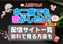 中二病でも恋がしたい！　中二恋　中恋　 第2期　シーズン2　続編　戀　　TV　アニメ　テレビ　無印　無料　配信サービス　動画サブスク　VOD　動画配信サイト　どこで見れる？　動画配信サービス　ユーネクスト U-NEXT DMM TV アマプラ　ネトフリ　ABEMA　Hulu　Lemino　dアニメ　おすすめ　コスパ　お得　人気　比較　一覧　まとめ　独占　見れない　ネットフリックス　Netflix　ネトフリ　見れない　見る