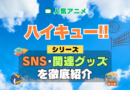 ハイキュー!! SNS 動画 公式 YouTube ユーチューブ Twitter ツイッター X　エックス アカウント チャンネル 関連グッズ DVD ブルーレイ Blu-ray フィギュア