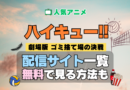 アニメ ハイキュー!! 劇場版 映画 ゴミ捨て場の決戦 配信一覧 どこで見れる 動画サブスク VOD 動画配信サービス