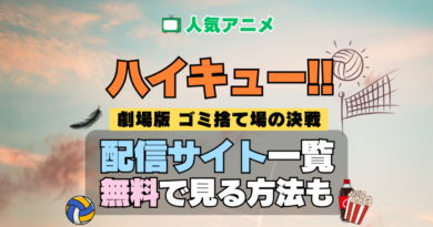 アニメ ハイキュー!! 劇場版 映画 ゴミ捨て場の決戦 配信一覧 どこで見れる 動画サブスク VOD 動画配信サービス