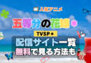 スペシャル アニメ TVSP2 五等分の花嫁＊ 配信一覧 どこで見れる 動画サブスク VOD 動画配信サービス