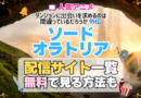 ソード・オラトリア アイズ アニメ 外伝 テレビ ダンまち ダンジョンに出会いを求めるのは間違っているだろうか TV 外伝 無料 配信サービス 動画サブスク VOD 動画配信サイト どこで見れる？ 動画配信サービス ユーネクスト U-NEXT DMMTV アマプラ ネトフリ ABEMA Hulu Lemino dアニメ おすすめ コスパ お得 人気 比較 一覧 まとめ 独占 見れない ネットフリックス Netflix ネトフリ 見れない 見る