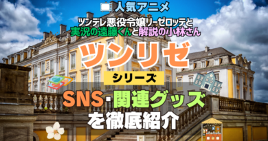 ツンリゼ ツンデレ悪役令嬢リーゼロッテと実況の遠藤くんと解説の小林さん SNS 動画 公式 YouTube ユーチューブ Twitter ツイッター X　エックス アカウント チャンネル 関連グッズ DVD ブルーレイ Blu-ray フィギュア