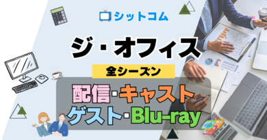 人気 シットコム ジ・オフィス ザ・オフィス US版 アメリカ版 リメイク 海外ドラマ 全シリーズ まとめ 配信 キャスト ゲスト blu-ray ブルーレイ グッズ