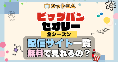 人気 シットコム ビッグバンセオリー どこで見れる？ 配信サイト一覧 Hulu フールー U-NEXT ユーネクスト ビッグバン★セオリー ギークなボクらの恋愛法則