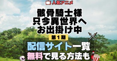 骸骨騎士様、只今異世界へお出掛け中 アニメ 第1期 配信一覧 どこで見れる 動画サブスク VOD 動画配信サービス