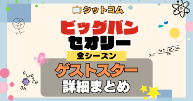 人気シットコム「ビッグバンセオリー」 全シーズン ゲストスター 俳優 女優 有名人 ビッグバン★セオリー ギークなボクらの恋愛法則