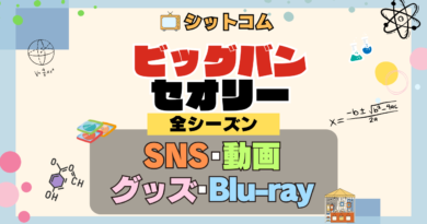 人気シットコム「ビッグバンセオリー」 SNS Twitter X YouTube動画 ユーチューブチャンネル 公式 アカウント グッズ ブルーレイ DVD ビッグバン★セオリー ギークなボクらの恋愛法則
