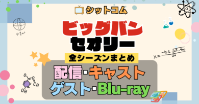 人気シットコム「ビッグバンセオリー」 全シリーズ まとめ 配信 キャスト ゲスト DVD ブルーレイ グッズ ビッグバン★セオリー ギークなボクらの恋愛法則