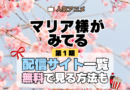 アニメ マリア様がみてる マリみて 第1期 動画配信サービス
