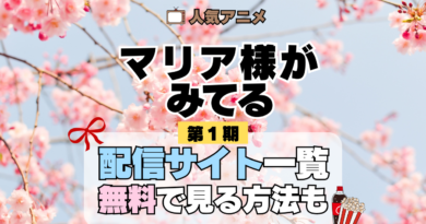 アニメ マリア様がみてる マリみて 第1期 動画配信サービス