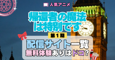 アニメ 帰還者の魔法は特別です 動画配信サービス 一覧 状況 サブスク
