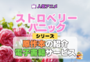 アニメ ストロベリー・パニック Strawberry Panic 書籍 原作本 小説