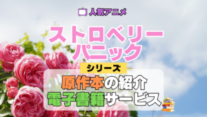 アニメ ストロベリー・パニック Strawberry Panic 書籍 原作本 小説