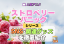 アニメ ストロベリー・パニック Strawberry Panic SNS 動画 関連グッズ トリビア