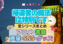 帰還者の魔法は特別です 全シリーズまとめ アニメ 小説 書籍 声優 ブルーレイ