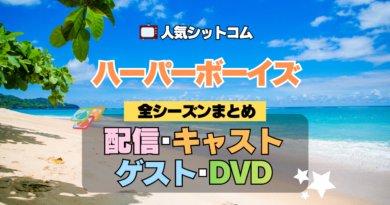 ハーパーボーイズ Two and a Half Men ハーパー★ボーイズ 人気 シットコム 全シリーズまとめ 解説 目次 紹介 入門