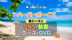 ハーパーボーイズ Two and a Half Men ハーパー★ボーイズ 人気 シットコム SNS 動画 関連グッズ ブルーレイ DVD