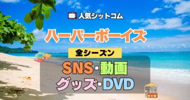 ハーパーボーイズ Two and a Half Men ハーパー★ボーイズ 人気 シットコム SNS 動画 関連グッズ ブルーレイ DVD