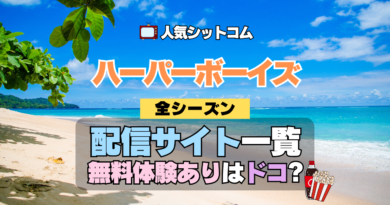 ハーパーボーイズ Two and a Half Men ハーパー★ボーイズ 人気 シットコム 全シリーズまとめ 解説 目次 紹介 入門