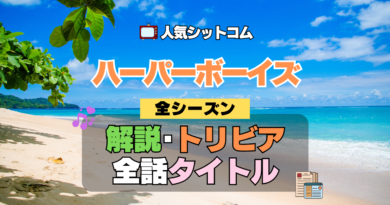 ハーパーボーイズ Two and a Half Men ハーパー★ボーイズ 人気 シットコム タイトル あらすじ トリビア 解説 考察 感想