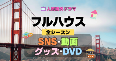 フルハウス 海外ドラマ シットコム SNS 動画 関連グッズ DVD 円盤 ブルーレイ Blu-ray