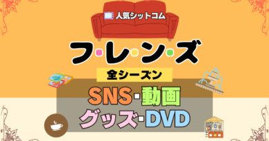 フレンズ 海外ドラマ シットコム SNS 動画 関連グッズ DVD Blu-ray ブルーレイ 全シーズン