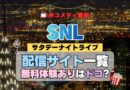 サタデー・ナイト・ライブ SNL アメリカ コメディ 人気 長寿 番組 生放送 公開 シーズン 配信一覧 動画サブスク 字幕 最新 Hulu フールー 見る 見れない 見られる 見れる