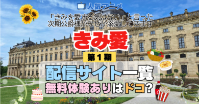 アニメ きみ愛 「きみを愛する気はない」と言った次期公爵様がなぜか溺愛してきます どこで見れる 配信一覧 動画配信サービス 動画サブスク 無料 比較 まとめ