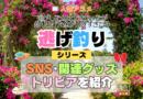 アニメ 逃げ釣り 逃がした魚は大きかったが釣りあげた魚が大きすぎた件 シリーズ SNS 動画 YouTube 公式 チャンネル アカウント 関連グッズ DVD Blu-ray ブルーレイ トリビア 豆知識