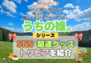 アニメ うちの娘。 うちの娘の為ならば、俺はもしかしたら魔王も倒せるかもしれない。 シリーズ SNS 動画 YouTube 公式 チャンネル アカウント 関連グッズ DVD Blu-ray ブルーレイ トリビア 豆知識