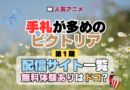 アニメ 手札が多めのビクトリア 配信